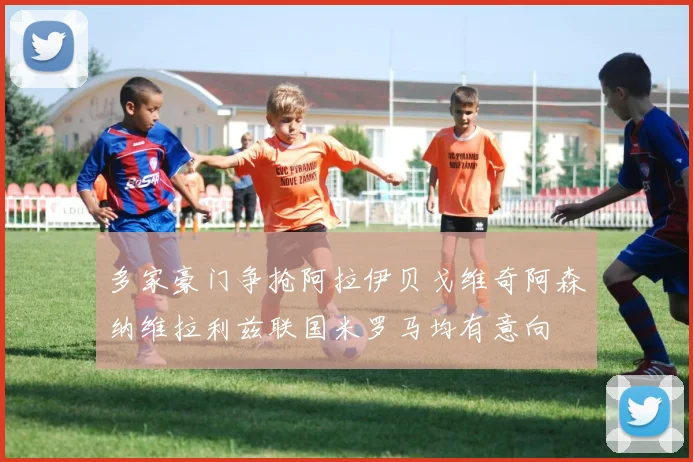 多家豪门争抢阿拉伊贝戈维奇阿森纳维拉利兹联国米罗马均有意向